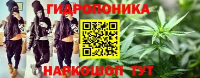 твердый Будённовск