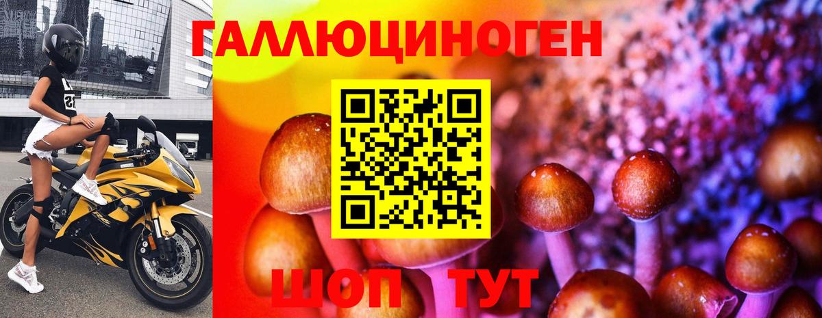 Псилоцибиновые грибы мицелий Сафоново