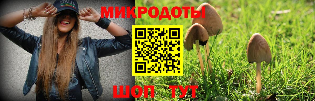 наркота  Вход с VPN  Галлюциногенные грибы Magic Shrooms  Сафоново  Псилоцибиновые грибы Psilocybine cubensis 